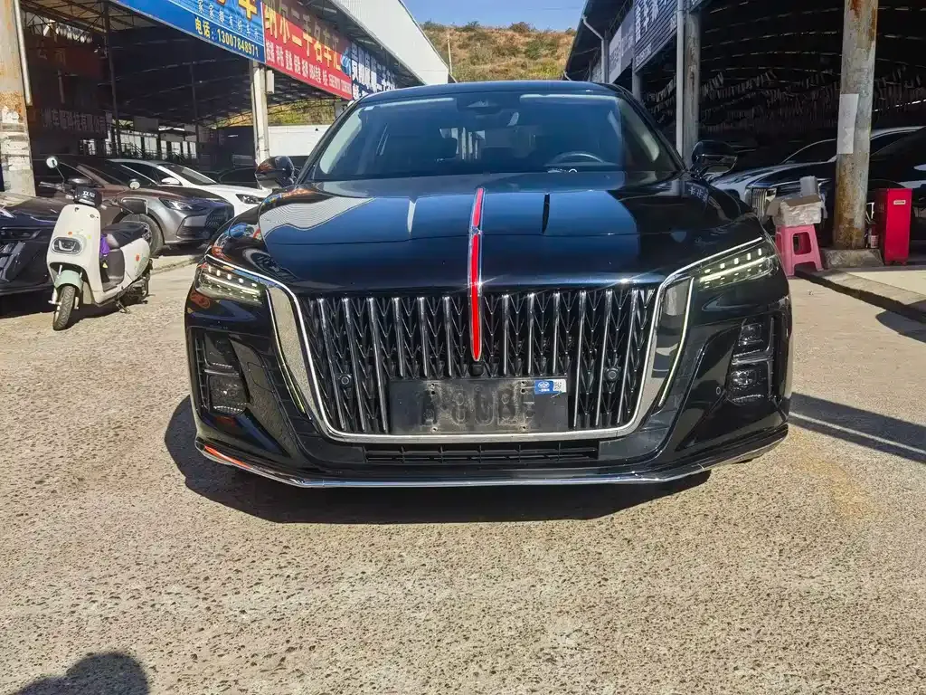 Hongqi H5 2023 из CN, фото 2