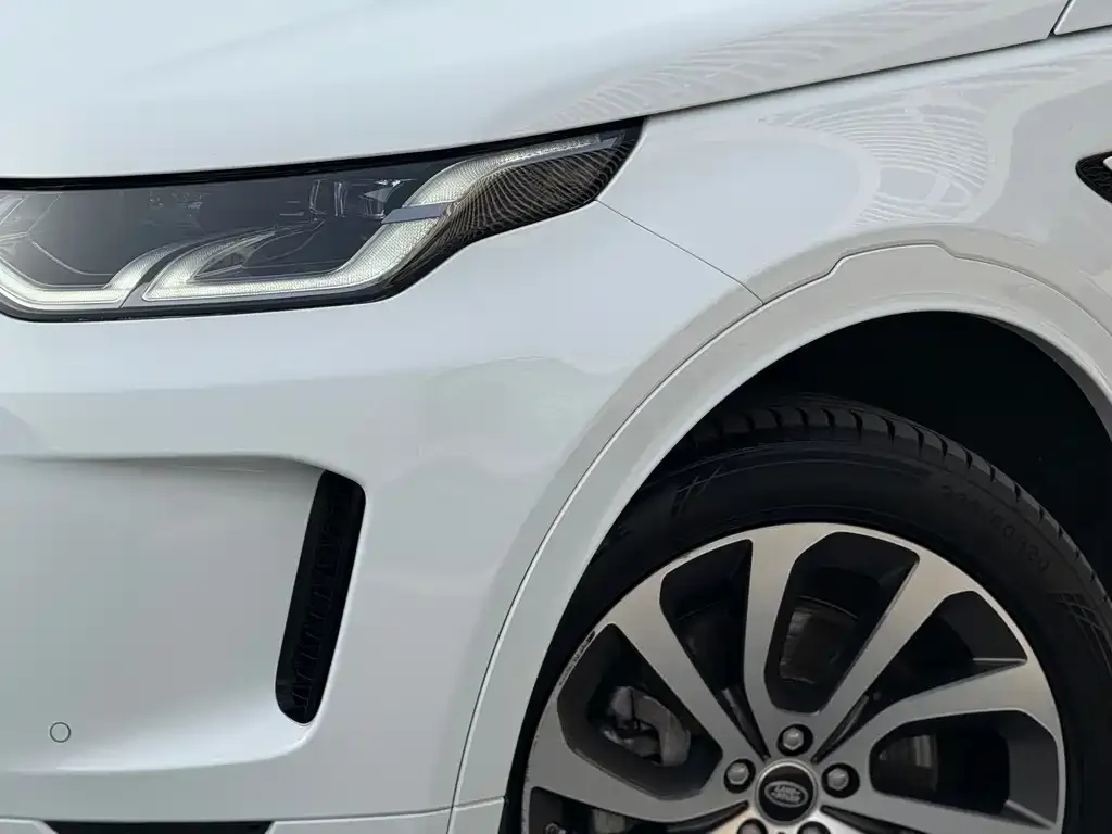 Land Rover Discovery Sport 2021 из CN, фото 2