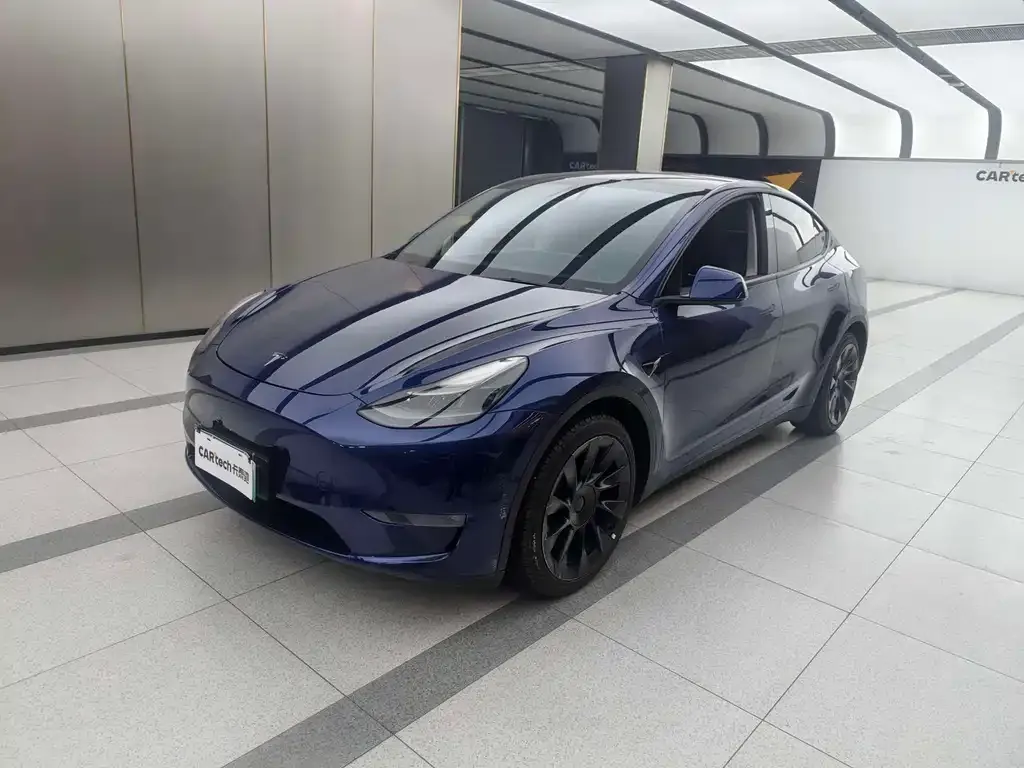 Tesla Model Y 2021 из CN, фото 1