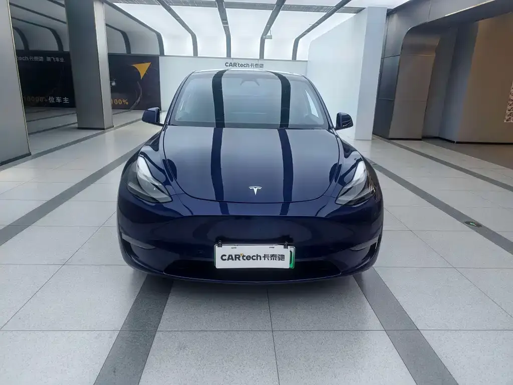 Tesla Model Y 2021 из CN, фото 2