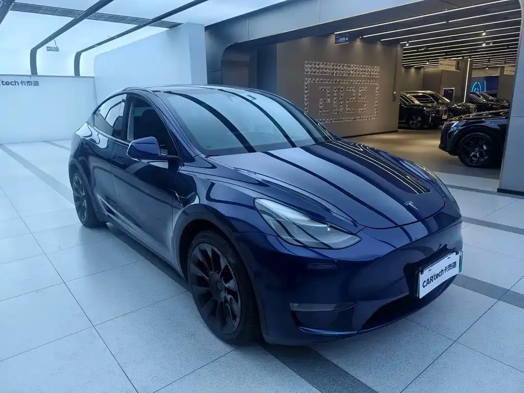Tesla Model Y 2021 из CN, фото 3