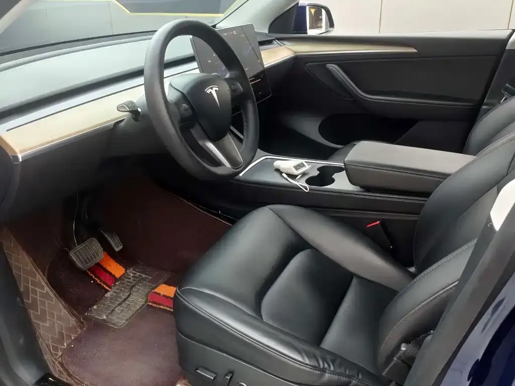 Tesla Model Y 2021 из CN, фото 4