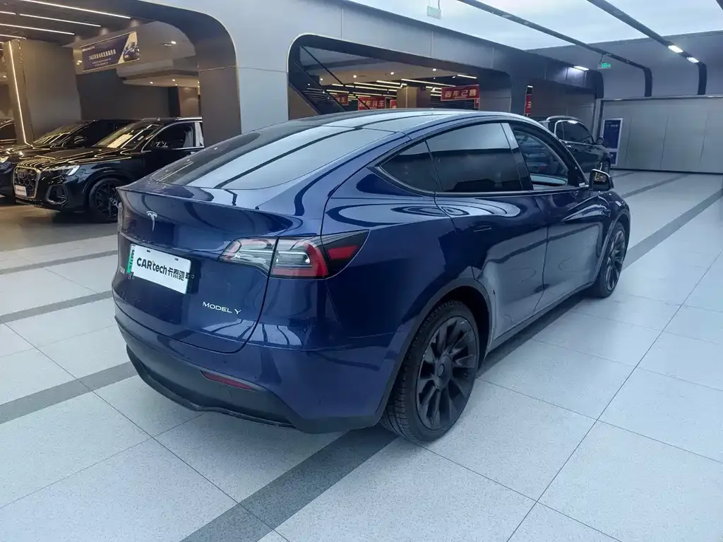 Tesla Model Y 2021 из CN, фото 6