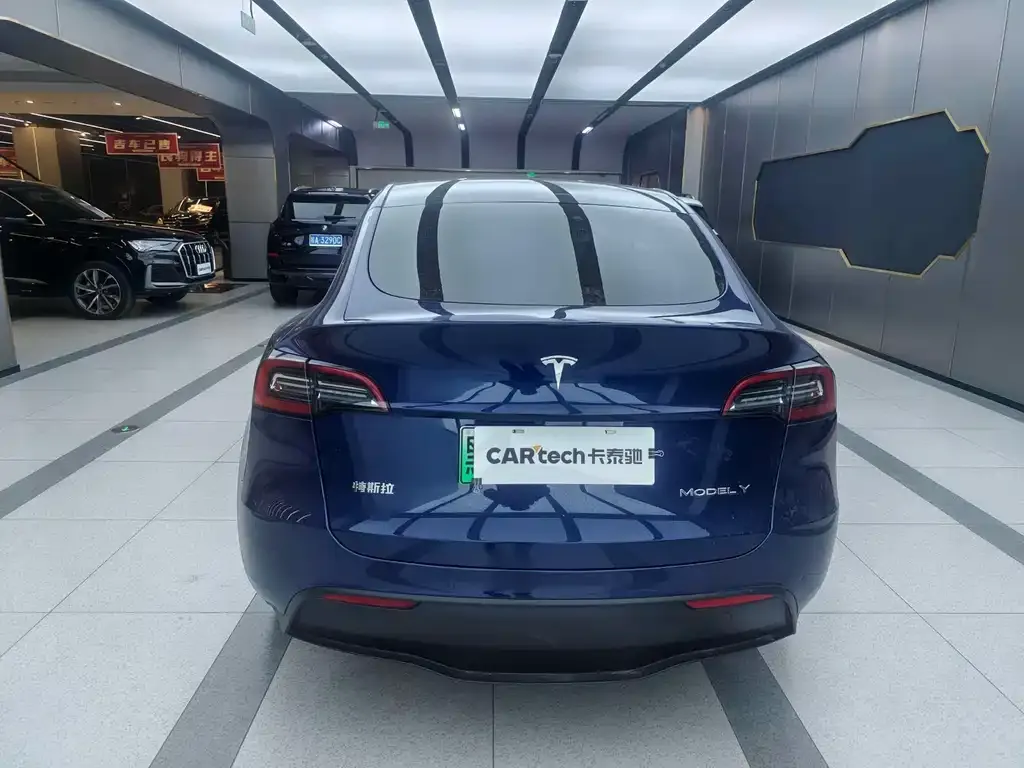 Tesla Model Y 2021 из CN, фото 7