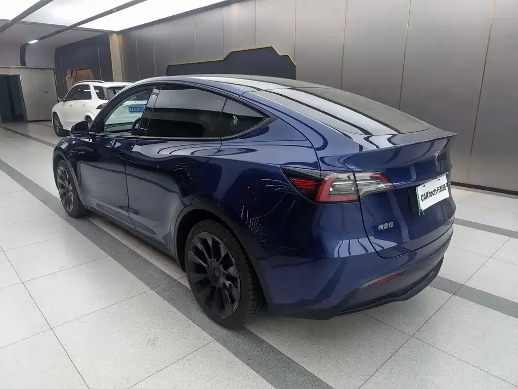 Tesla Model Y 2021 из CN, фото 9