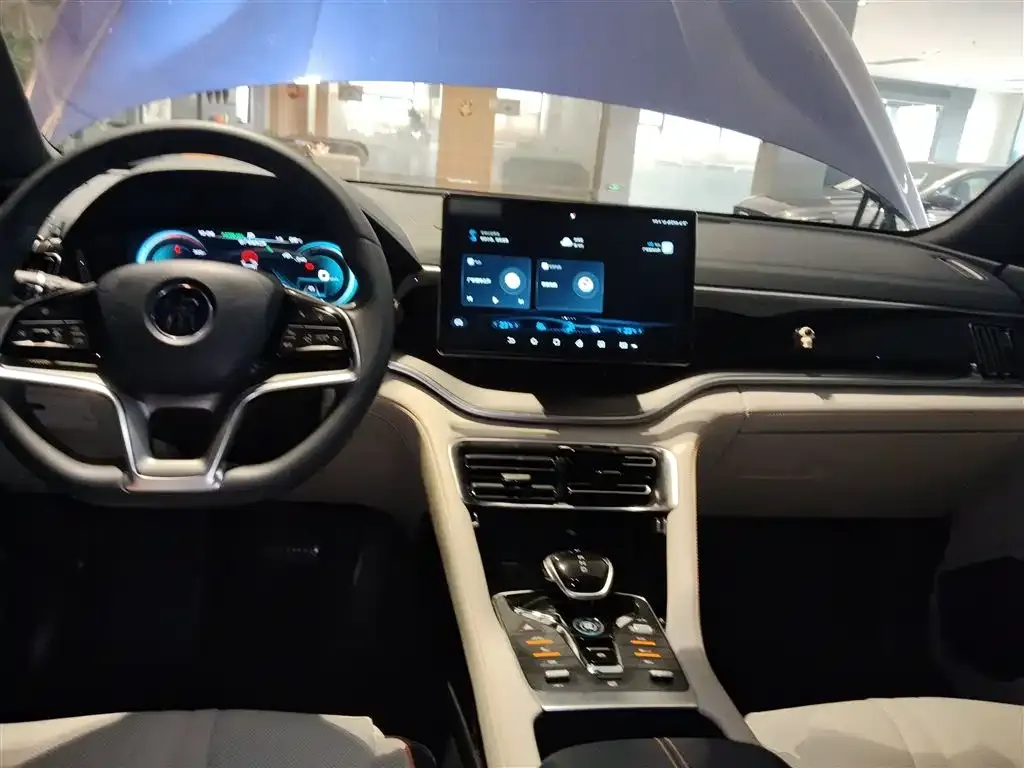 BYD PLUS New Energy 2022 из CN, фото 10