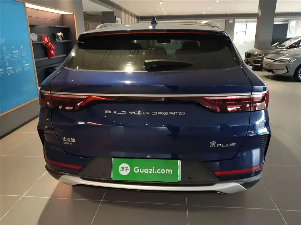 BYD PLUS New Energy 2022 из CN, фото 6