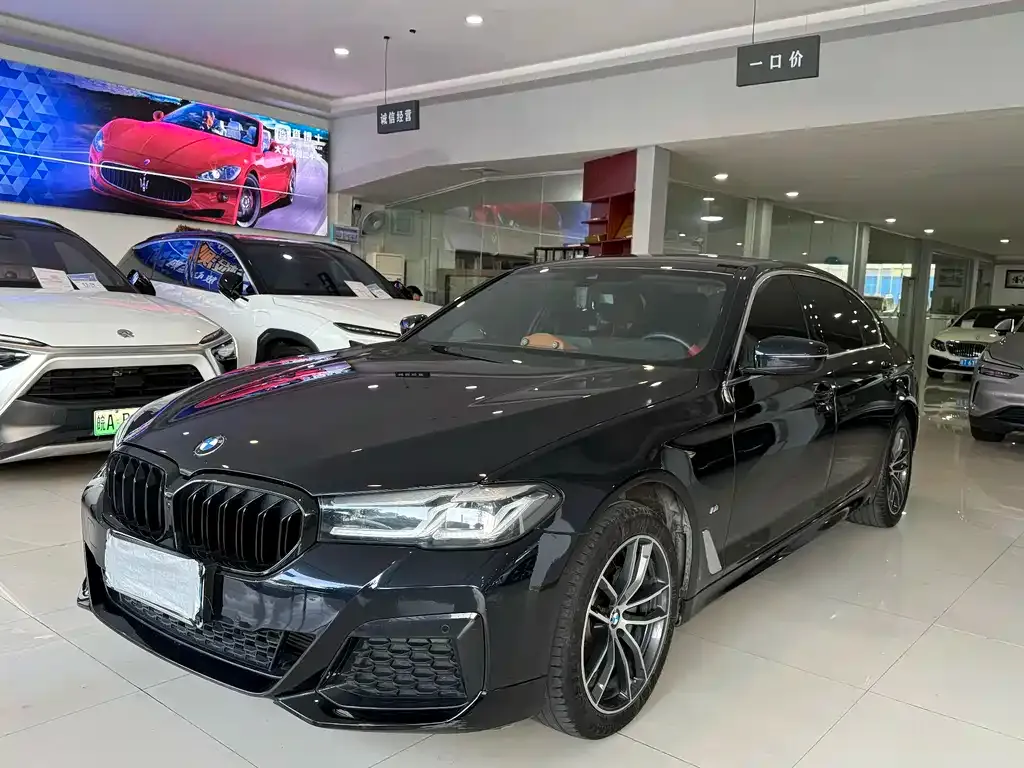 BMW 5 Series 2022 из CN, фото 1