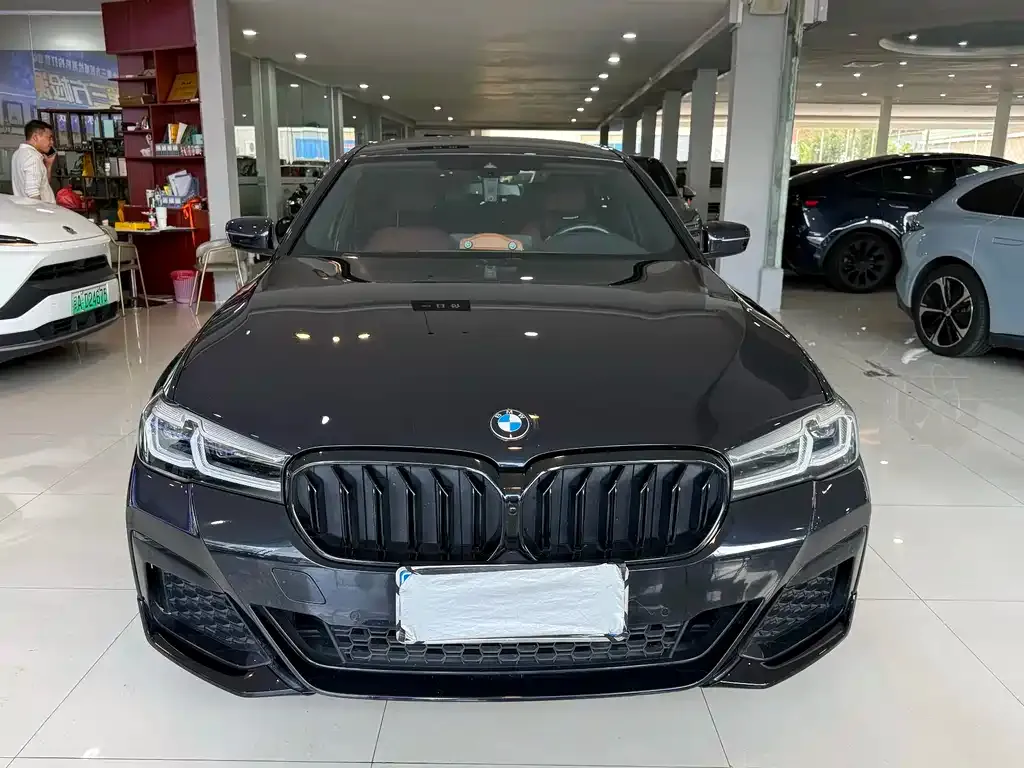BMW 5 Series 2022 из CN, фото 2
