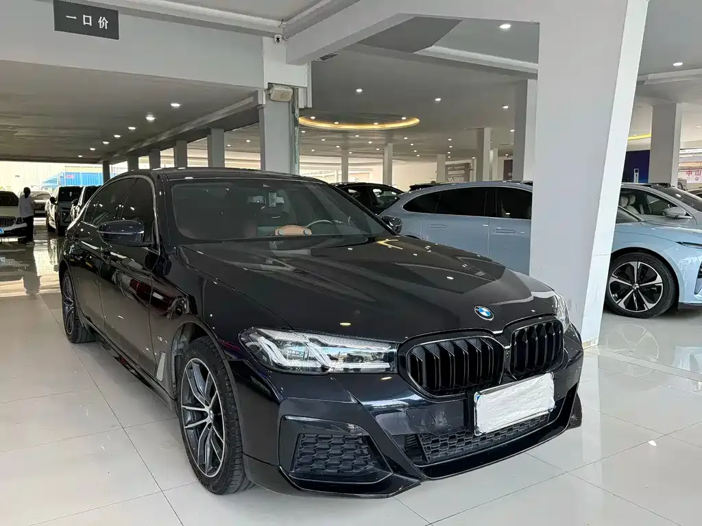 BMW 5 Series 2022 из CN, фото 3