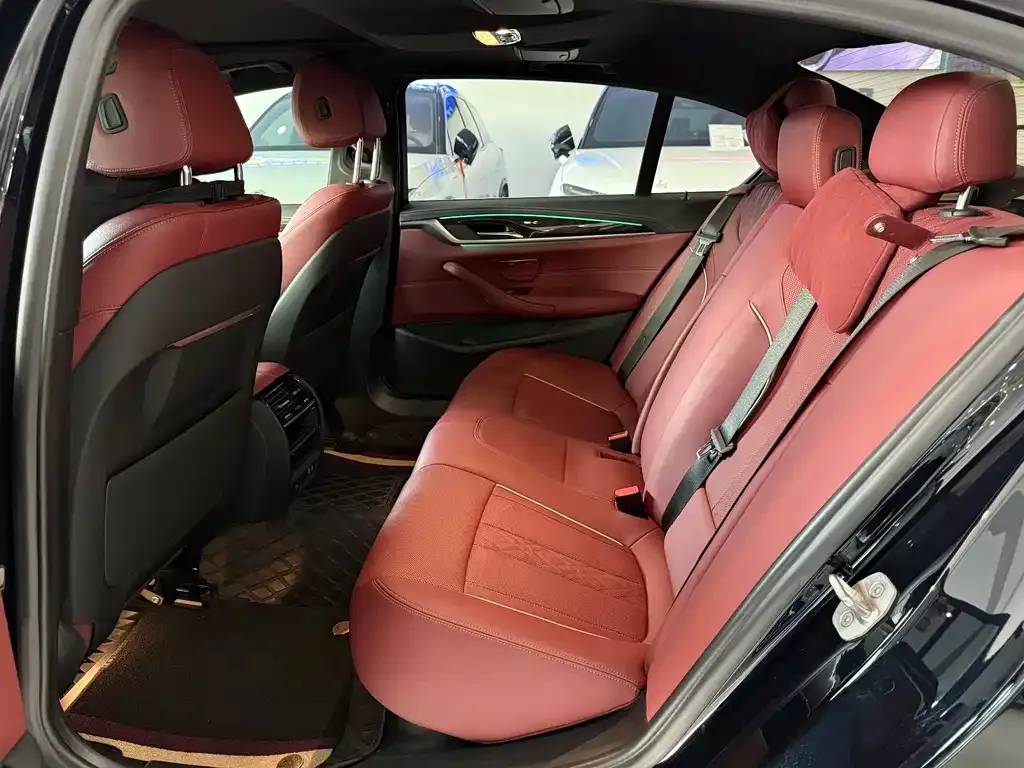 BMW 5 Series 2022 из CN, фото 8