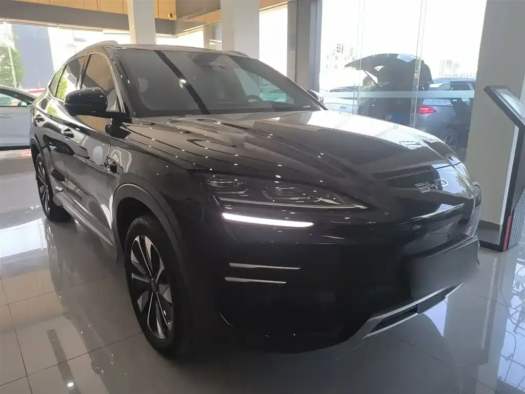 BYD PLUS New Energy 2025 из CN, фото 4