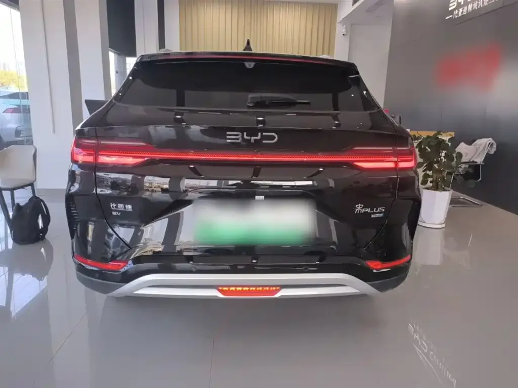 BYD PLUS New Energy 2025 из CN, фото 6