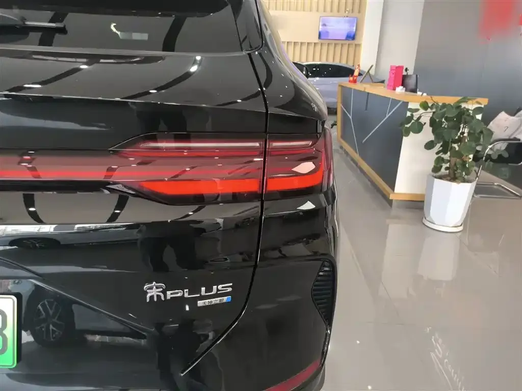 BYD PLUS New Energy 2025 из CN, фото 8