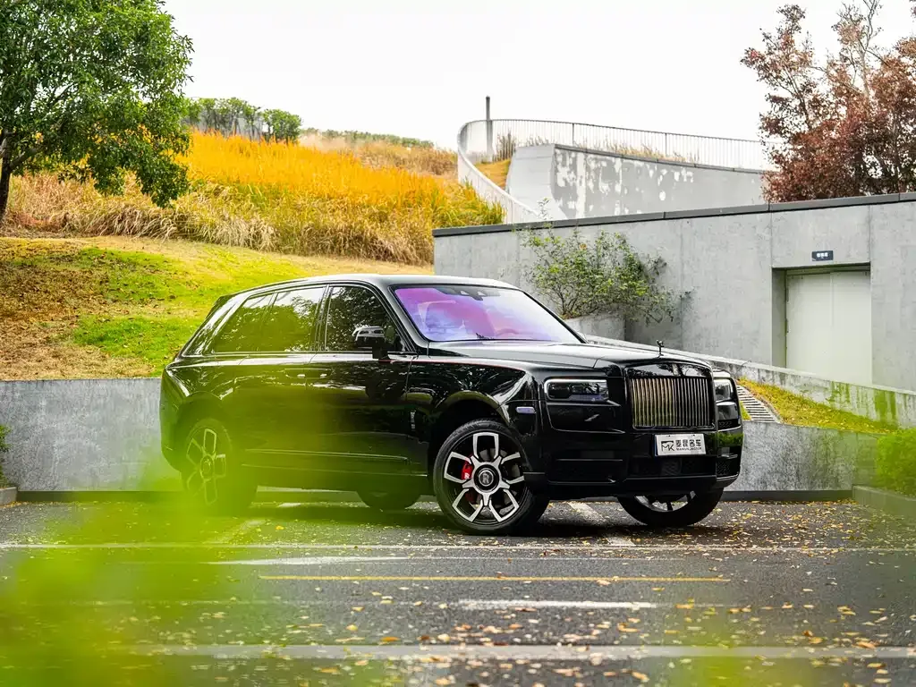 Rolls-Royce Cullinan 2021 из CN, фото 10