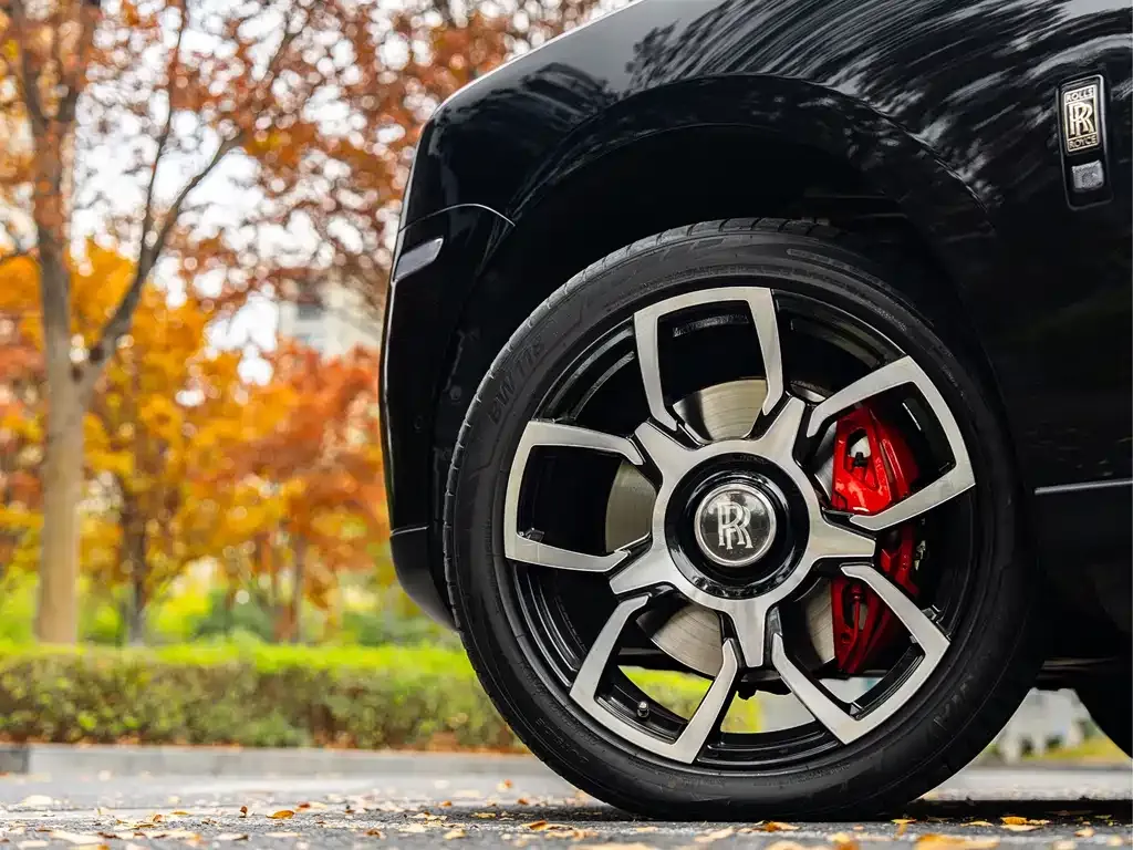 Rolls-Royce Cullinan 2021 из CN, фото 6