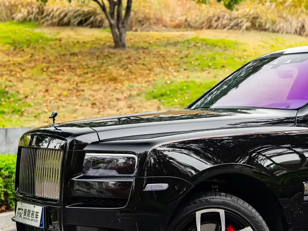 Rolls-Royce Cullinan 2021 из CN, фото 7