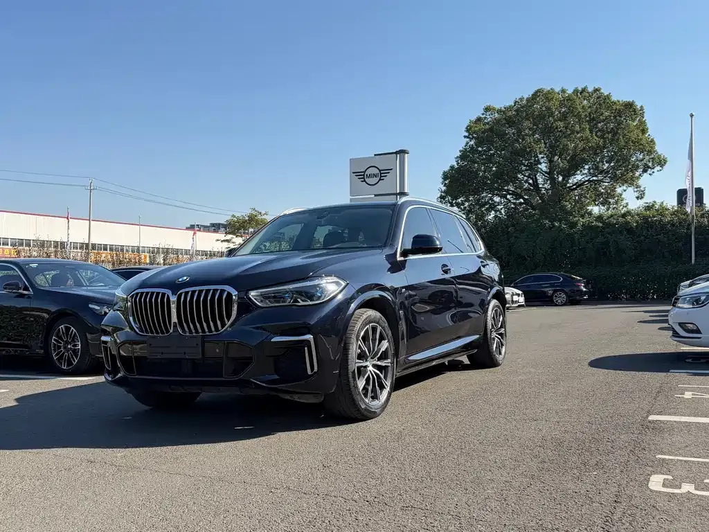 BMW X5 2023 из CN, фото 1