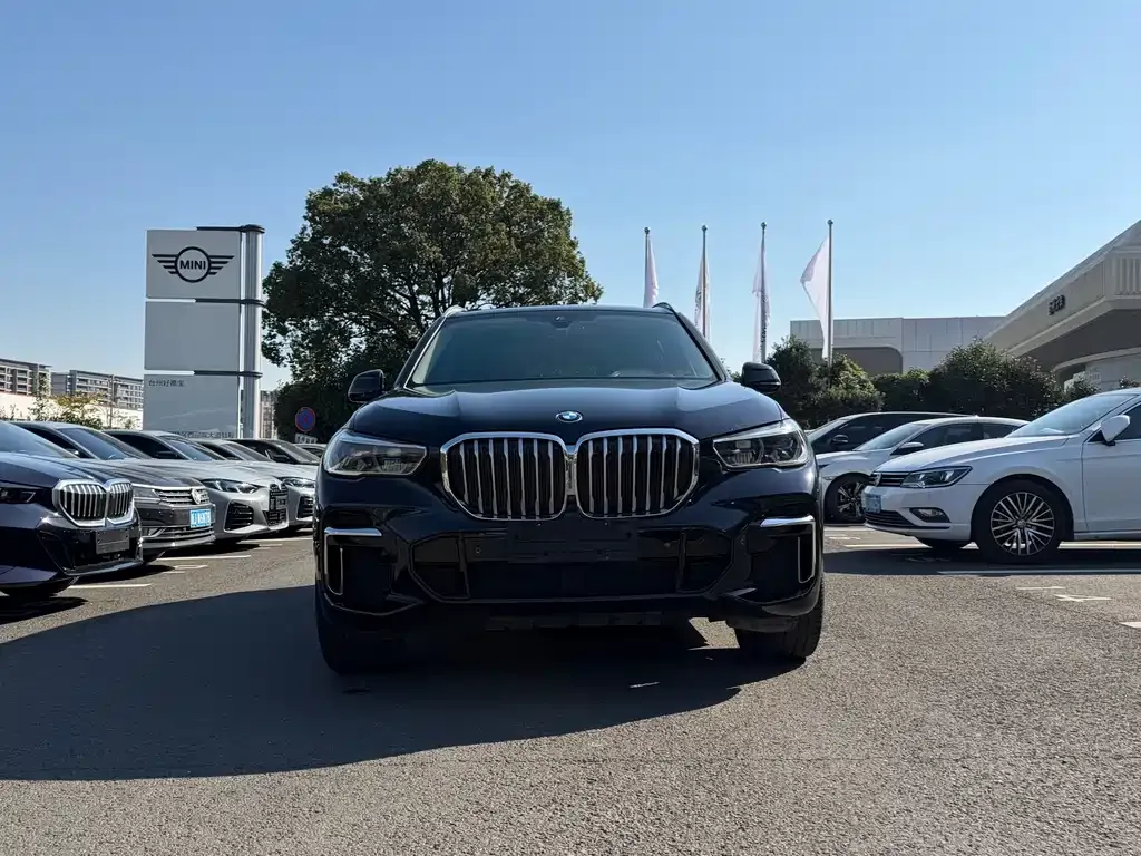 BMW X5 2023 из CN, фото 3