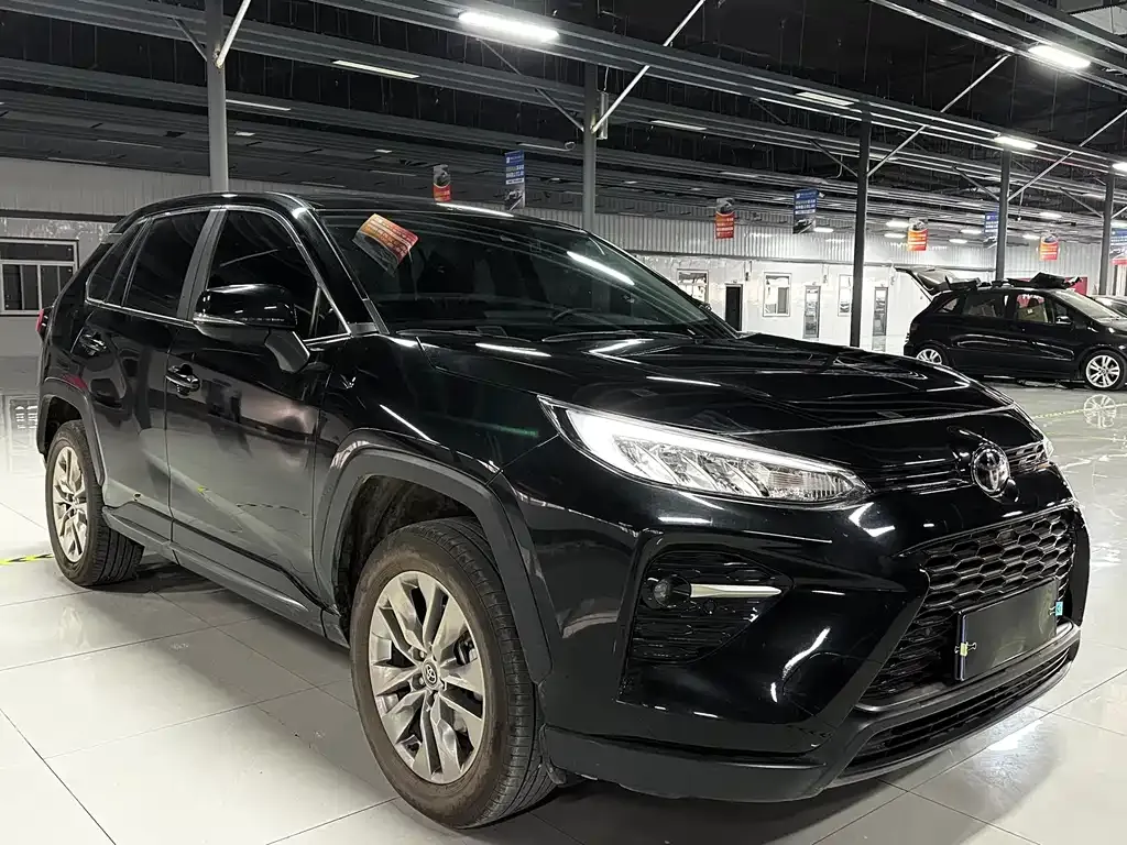 [object Object] Wildlander 2024 из CN, фото 3