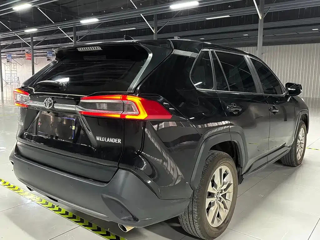[object Object] Wildlander 2024 из CN, фото 5
