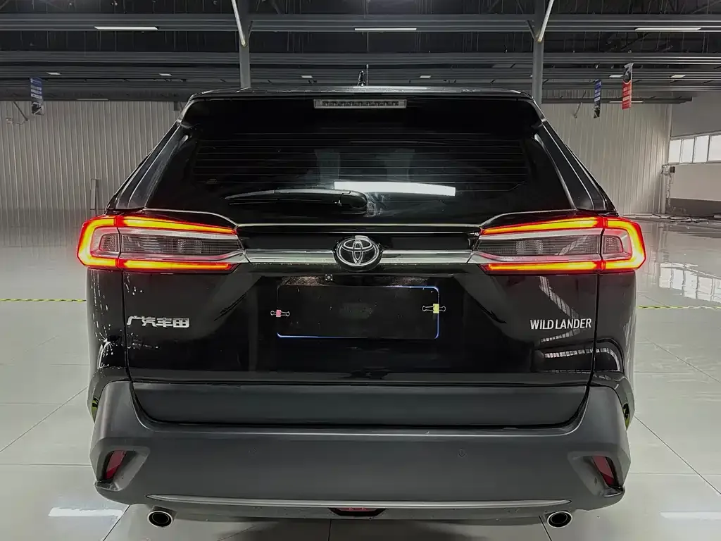 [object Object] Wildlander 2024 из CN, фото 6