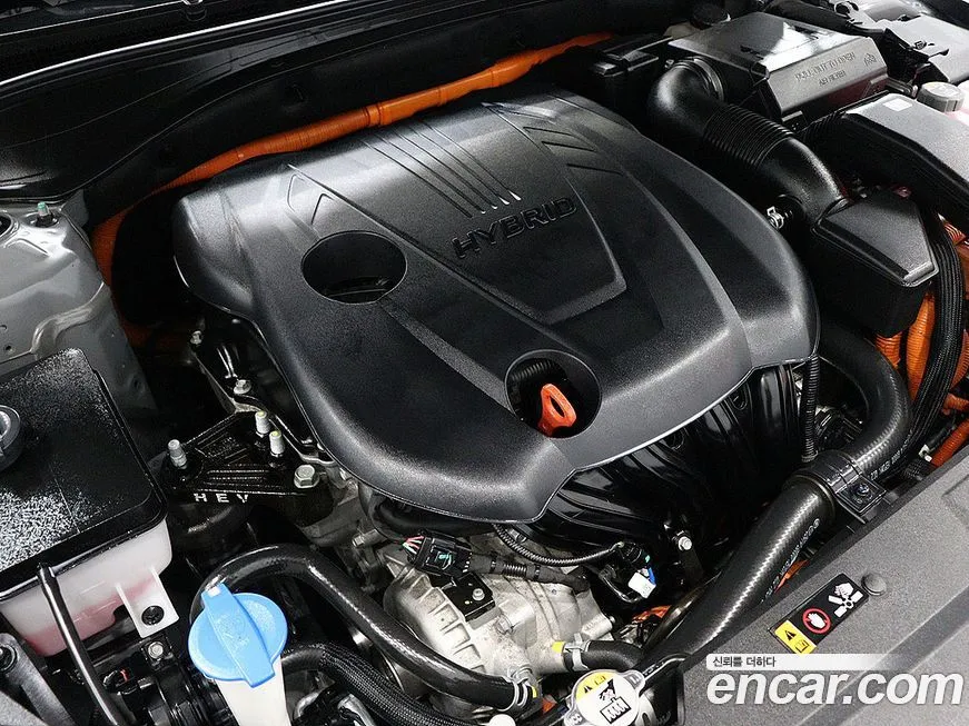 [object Object] Grandeur 2022 из KR, фото 6