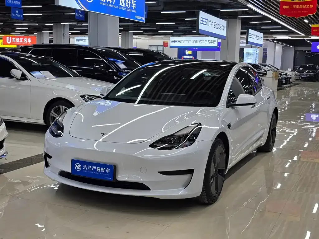 Tesla Model 3 2021 из CN, фото 1