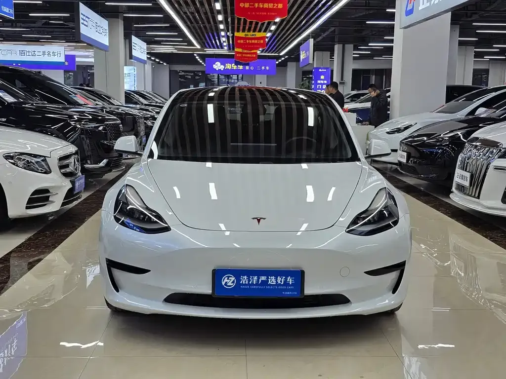 Tesla Model 3 2021 из CN, фото 2