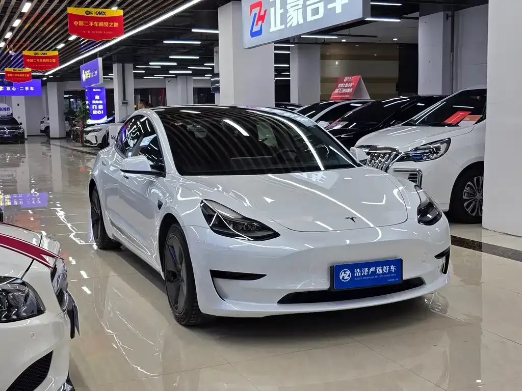 Tesla Model 3 2021 из CN, фото 3