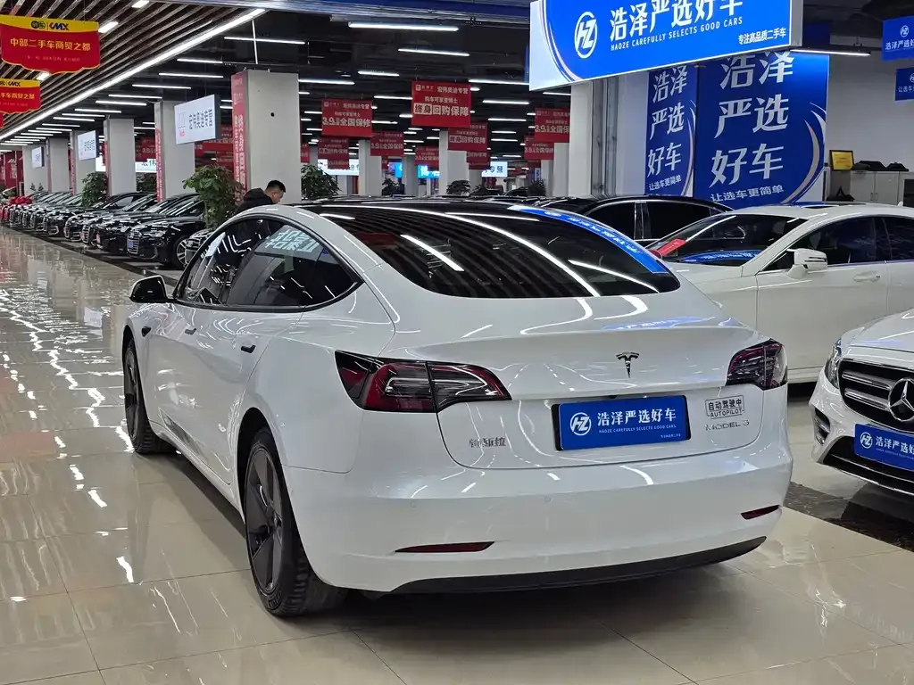 Tesla Model 3 2021 из CN, фото 4