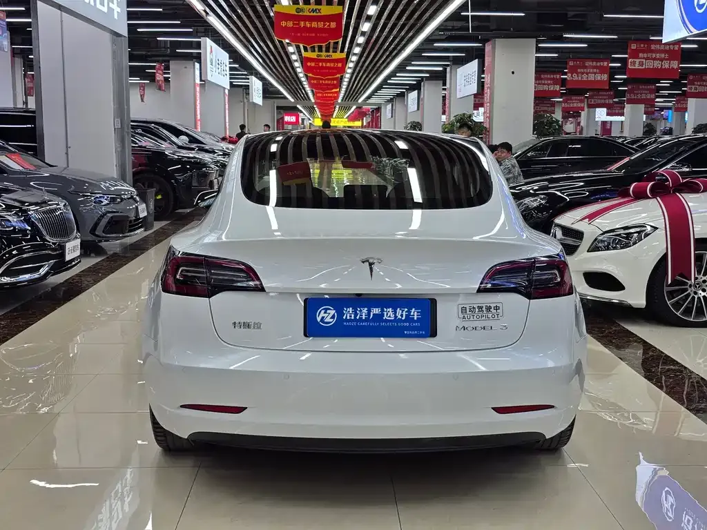 Tesla Model 3 2021 из CN, фото 5