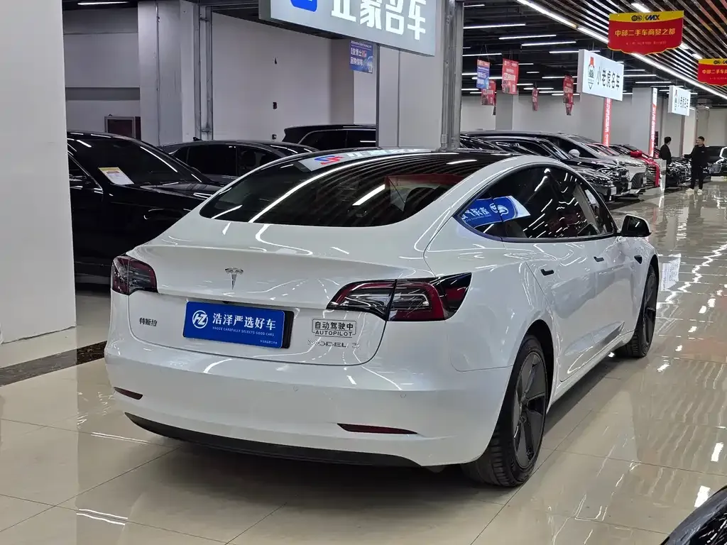 Tesla Model 3 2021 из CN, фото 6