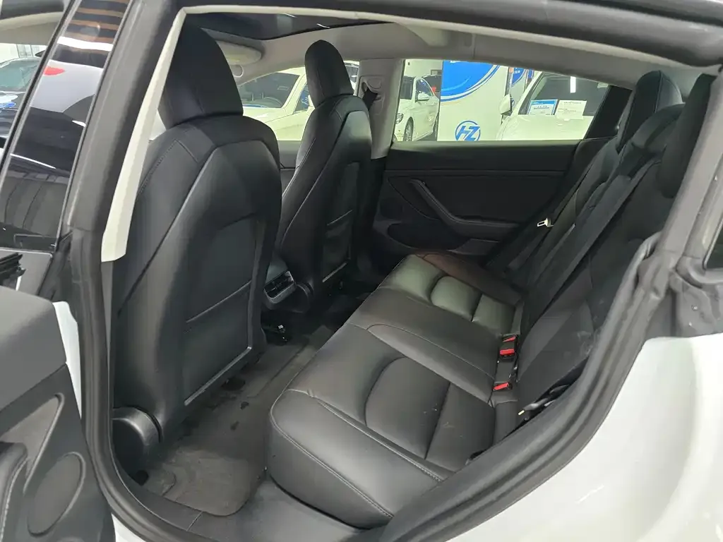 Tesla Model 3 2021 из CN, фото 9