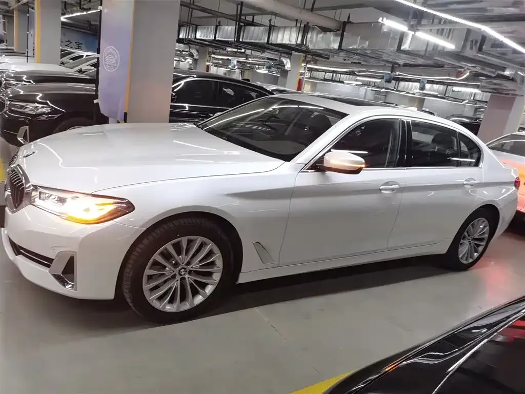 BMW 5 Series 2024 из CN, фото 5