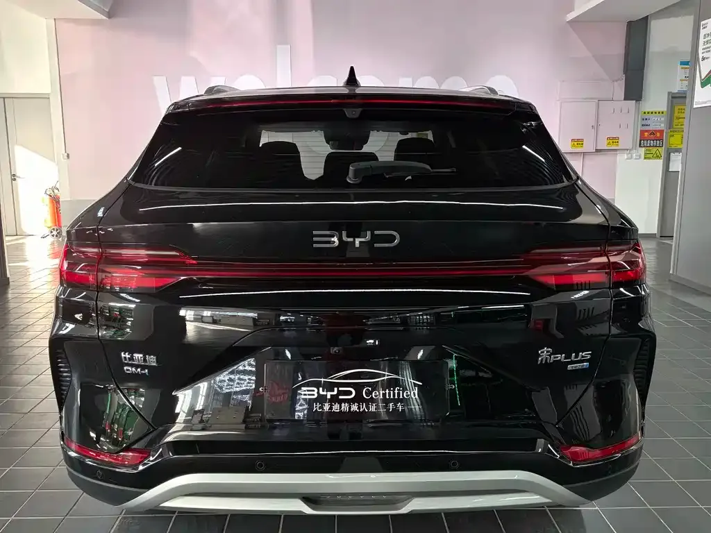 BYD PLUS New Energy 2025 из CN, фото 10