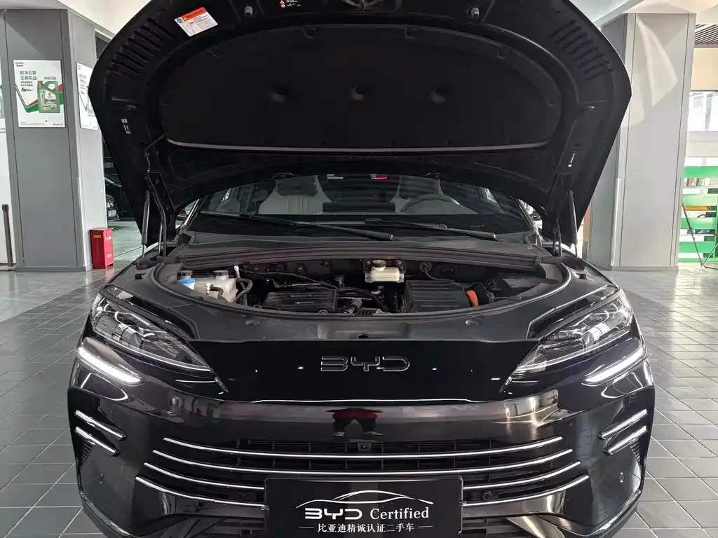 BYD PLUS New Energy 2025 из CN, фото 2