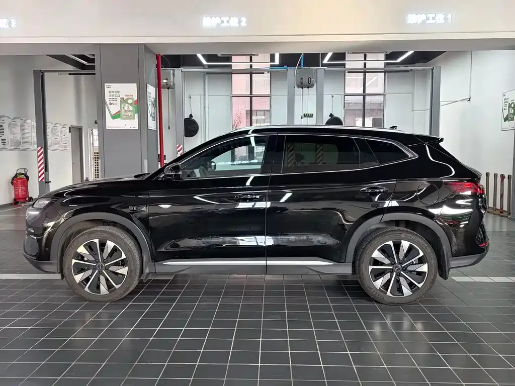 BYD PLUS New Energy 2025 из CN, фото 3