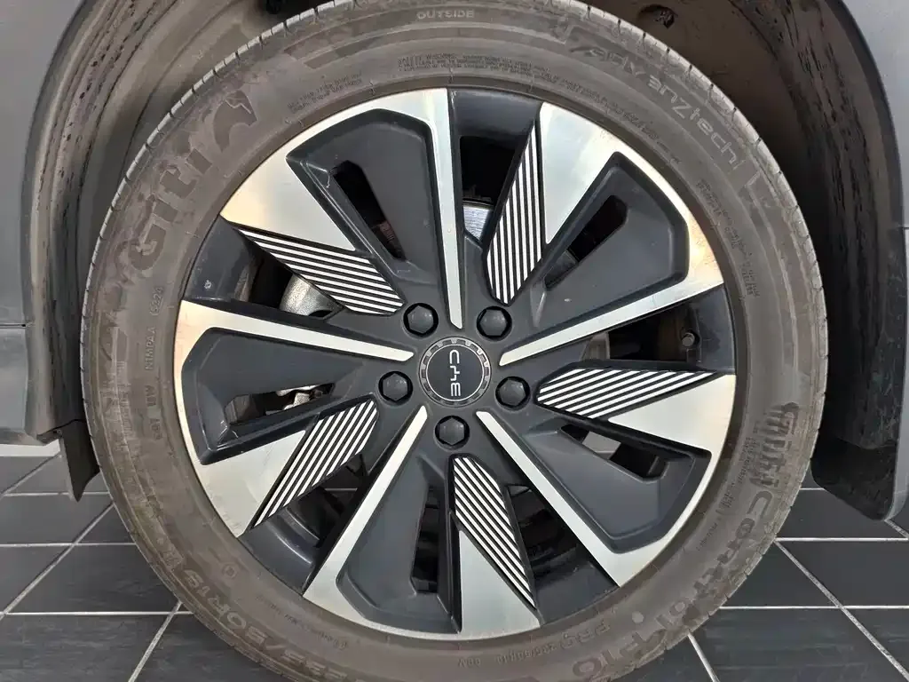 BYD PLUS New Energy 2025 из CN, фото 4