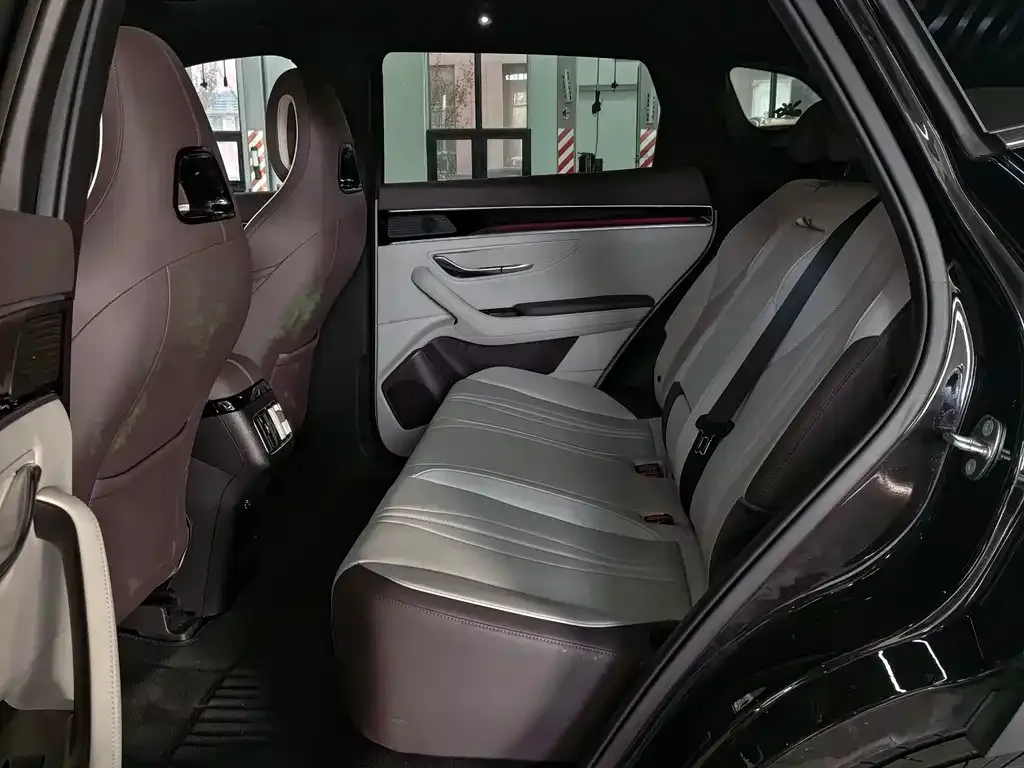 BYD PLUS New Energy 2025 из CN, фото 6