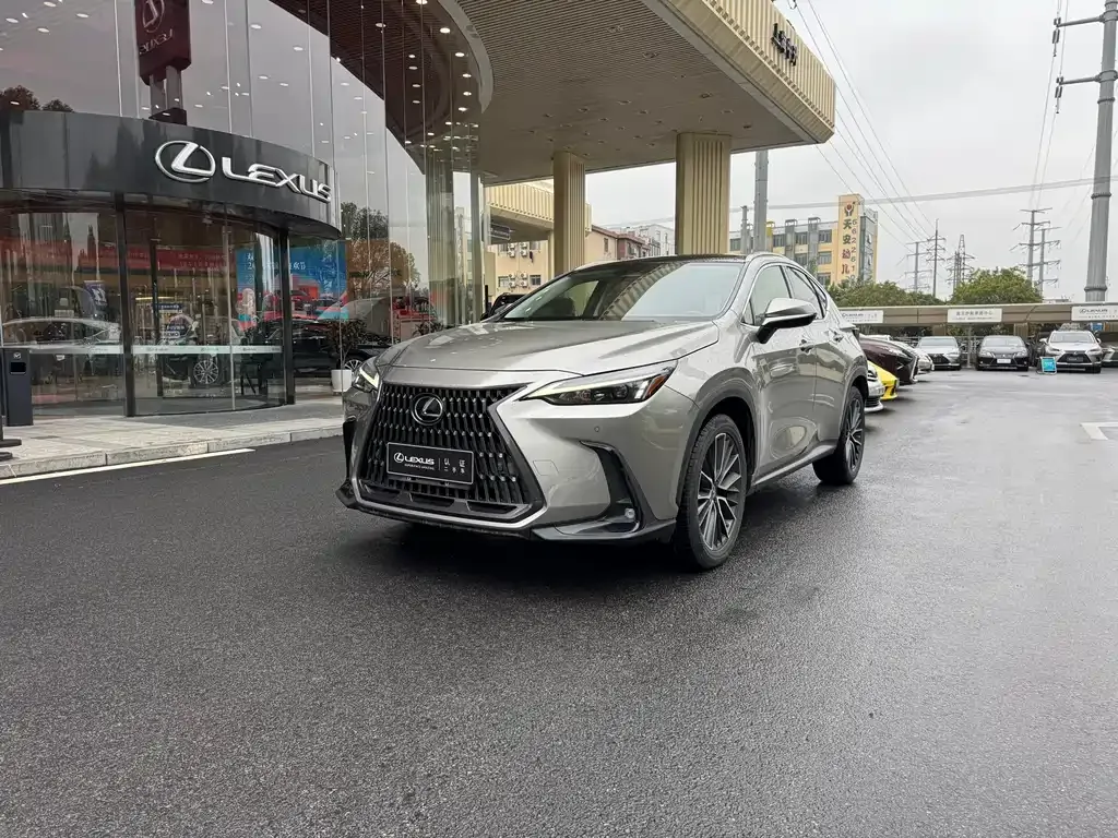 Lexus NX 2021 из CN, фото 1