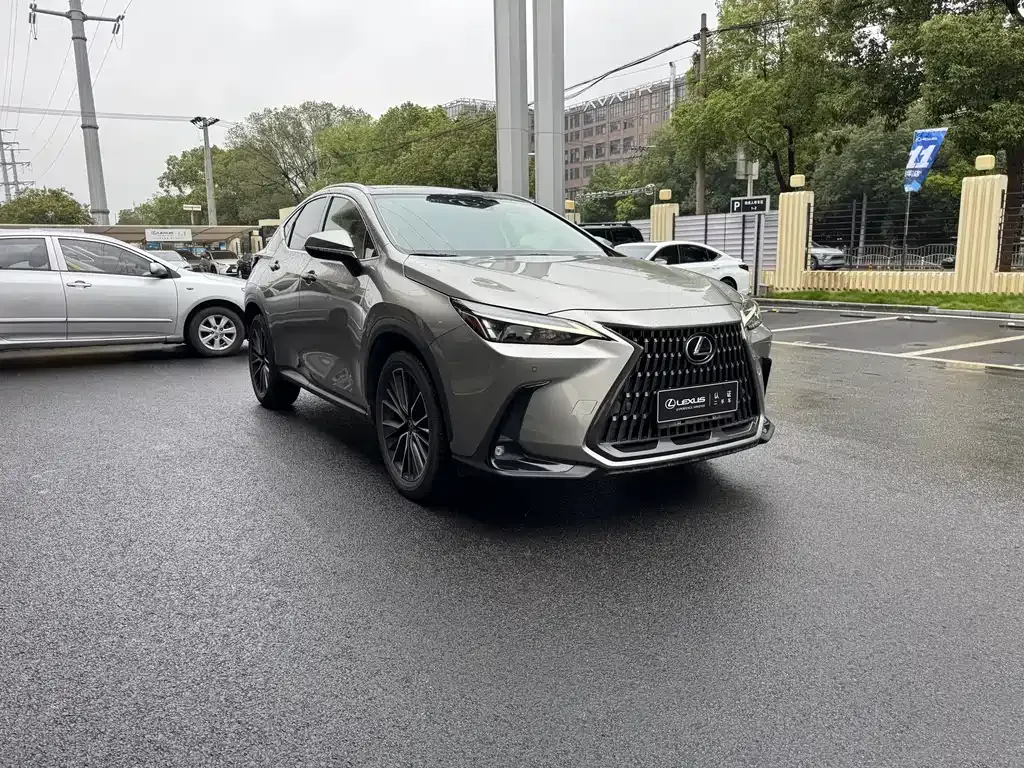 Lexus NX 2021 из CN, фото 2