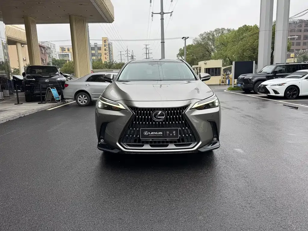 Lexus NX 2021 из CN, фото 3