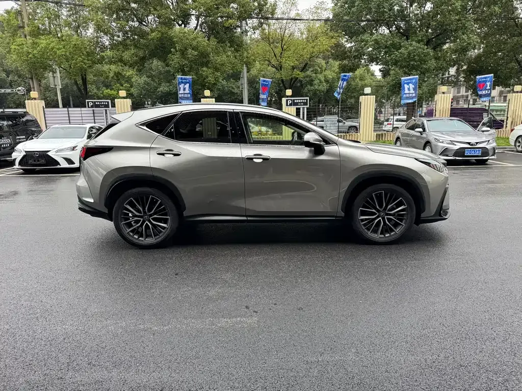 Lexus NX 2021 из CN, фото 9