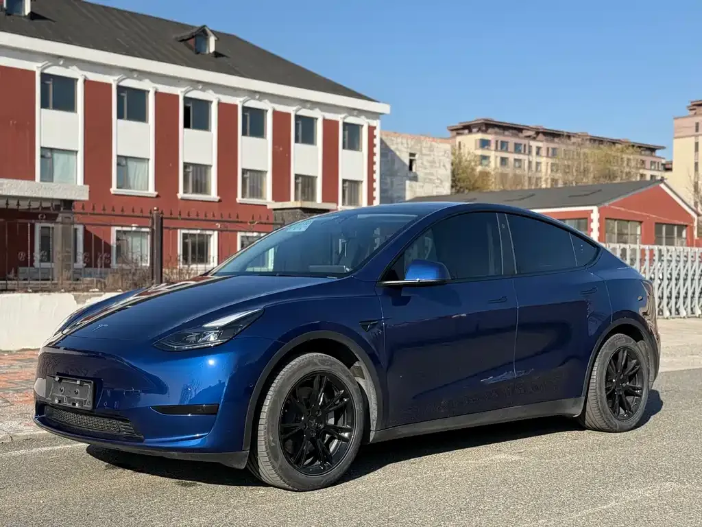 Tesla Model Y 2023 из CN, фото 1