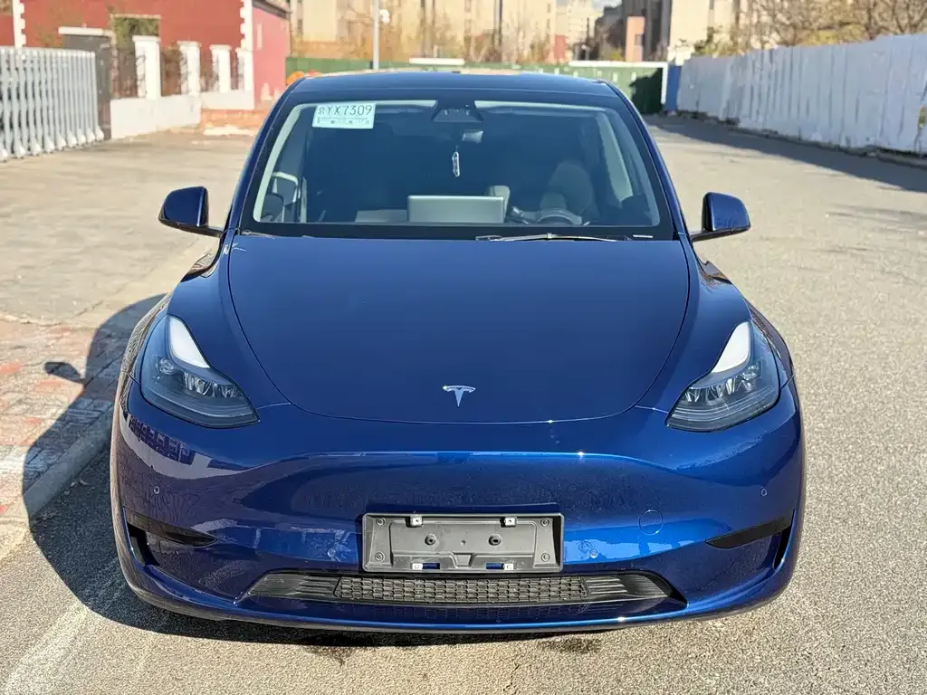 Tesla Model Y 2023 из CN, фото 2