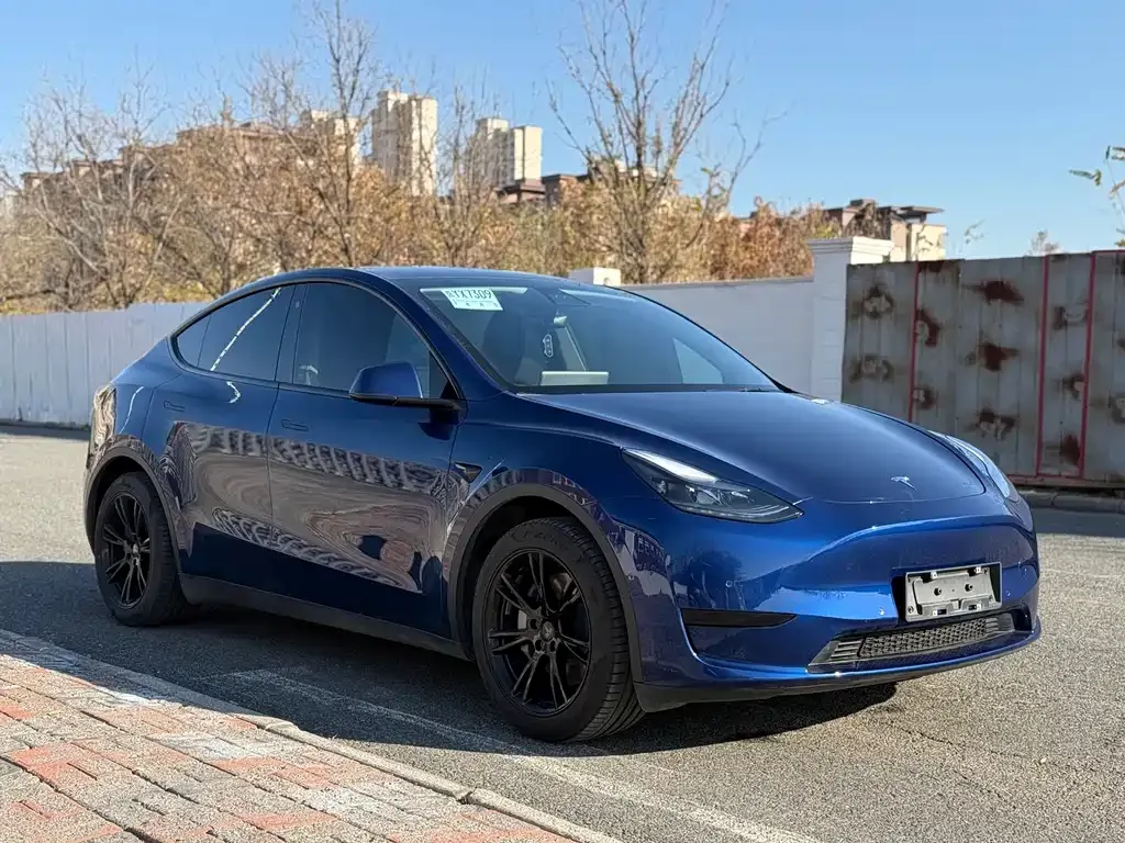 Tesla Model Y 2023 из CN, фото 3