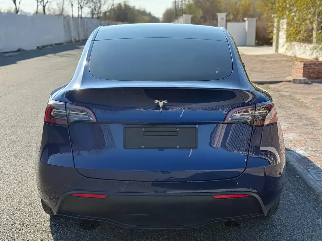 Tesla Model Y 2023 из CN, фото 6