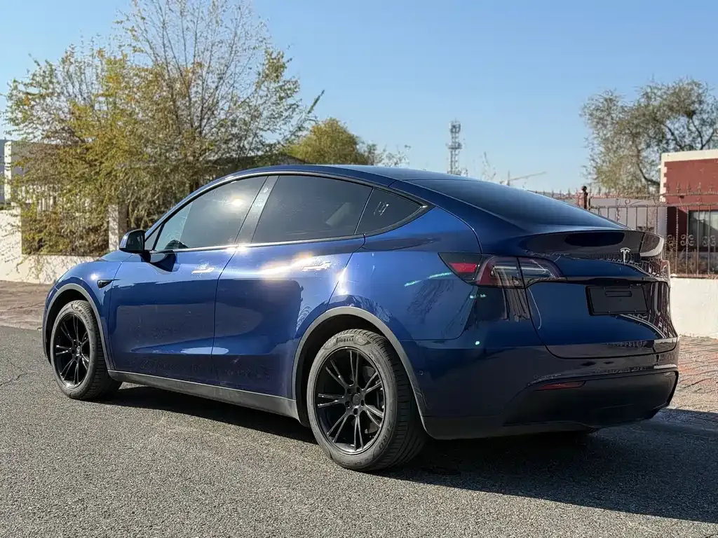 Tesla Model Y 2023 из CN, фото 7