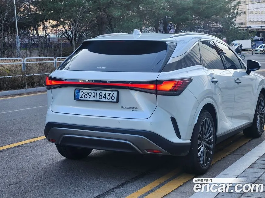 Lexus RX 2024 из KR, фото 4